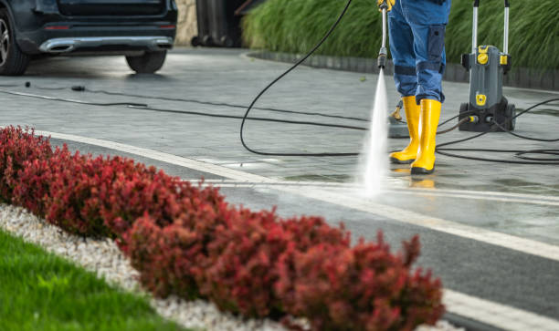 Best Driveway Pressure Washing  in Kankakee, IL